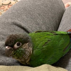 Meet your Posher, Helen